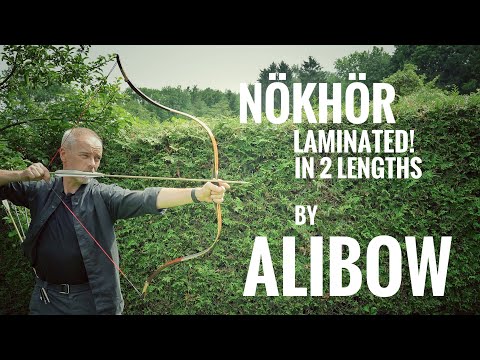 Видео: Nökhör ламинированный в 2 размерах от Alibow - Обзор