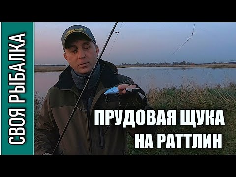 Видео: Прудовая щука на раттлин