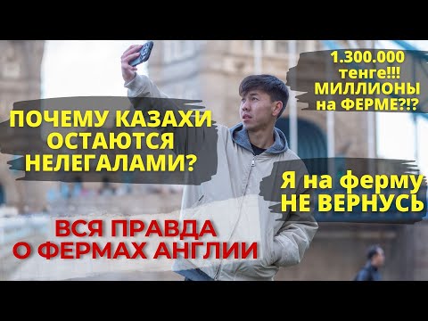 Видео: Вся правда о фермах Англии. До 1300000 тенге. Миллион триста тысяч.