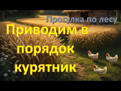 Видео: Прогулка по лесу . Приводим в порядок курятник .