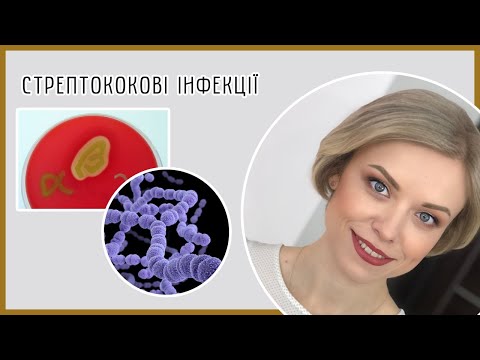 Видео: Стрептококи (Streptococcus) / Пневмонія. Бешиха. Скарлатина