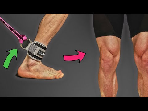 Видео: РЕЗИНКИ ВМЕСТО ЗАЛА. ЛУЧШИЕ УПРАЖНЕНИЯ ДЛЯ НОГ С РЕЗИНКАМИ И МАНЖЕТАМИ