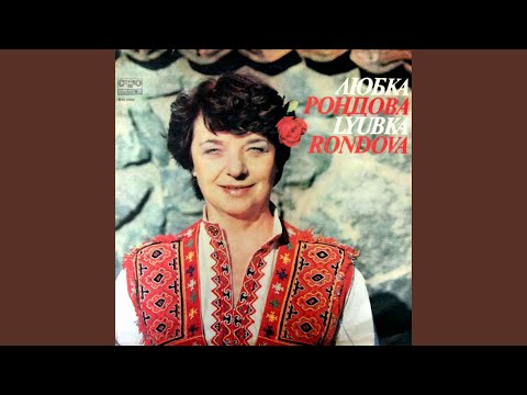 Видео: Кито моме