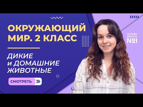 Видео: Видеоурок 14. Дикие и домашние животные. Окружающий мир 2 класс