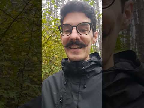 Видео: Как использовать сербское "да"?