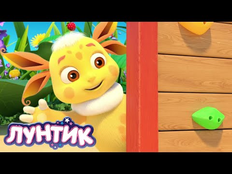 Видео: Лунтик | Олимпиада | Сборник мультиков для детей