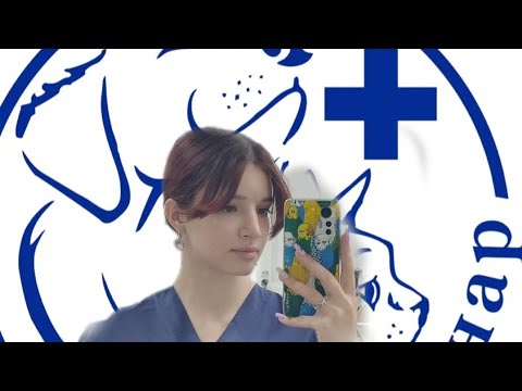 Видео: АССИСТЕНТ ВЕТ.ВРАЧА❤️‍🩹 МОЯ РАБОТА