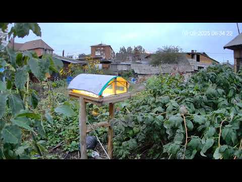 Видео: Пока спят воробьи! А, не. Уже не спят!