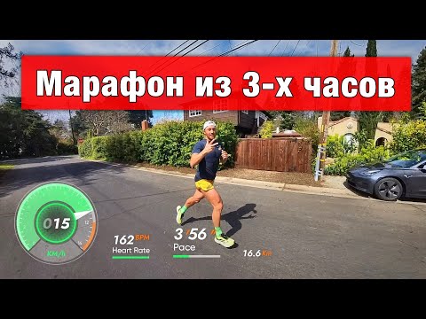 Видео: Как пробежать марафон из 3-х часов?