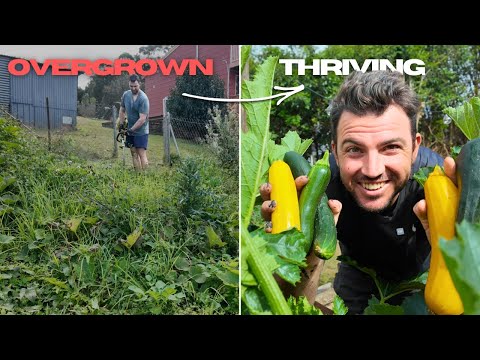 Видео: Строим нашу австралийскую усадьбу — 6 месяцев таймлапса