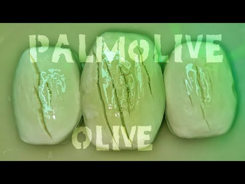 Видео: ASMR 🫒 PALMOLIVE Olive 🫒 Soaked Soap || АСМР Мыление и Размокшее Мыло #asmr