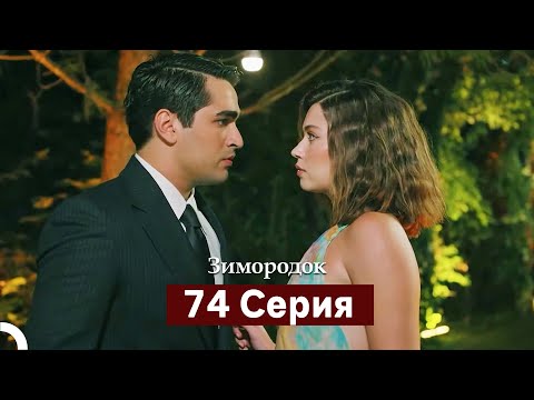 Видео: Зимородок 74 Cерия (Русский дубляж)