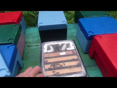 Видео: Матководство 2017 содержит мат.