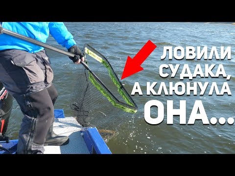 Видео: Ловили СУДАКА, а клюнула ОНА... Рыбий жЫр 5 сезон выпуск 29