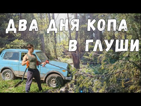 Видео: Два дня искал не выбитые места, нашёл медведя.