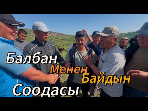 Видео: Акыл балбан менен Захит байдын Соодасы