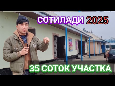 Видео: ТАЙОР ХАВЛИ  СОТИЛАДИ  СРОЧНО