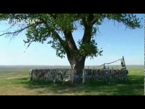 Видео: Калмыкия: "Магия степи"