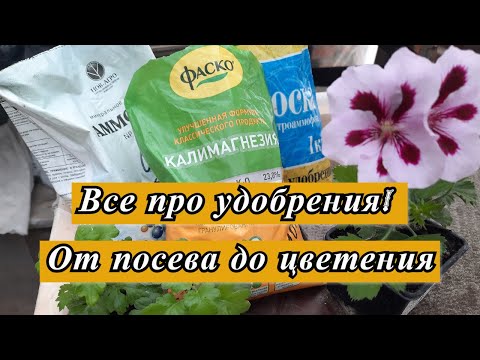 Видео: УДОБРЕНИЯ(ПОДКОРМКИ) . ОТ ПИКИРОВКИ ДО ЦВЕТЕНИЯ. ВСЕ ЧТО НУЖНО ЗНАТЬ
