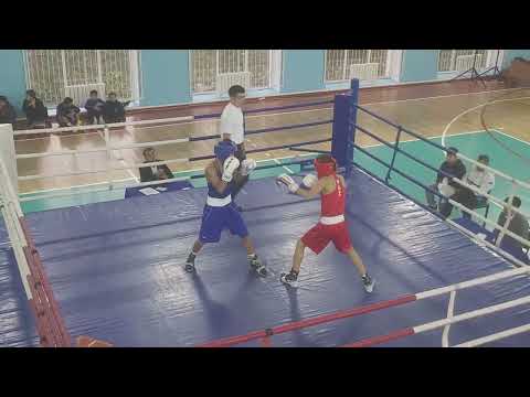 Видео: Областық жарыс 3 күн