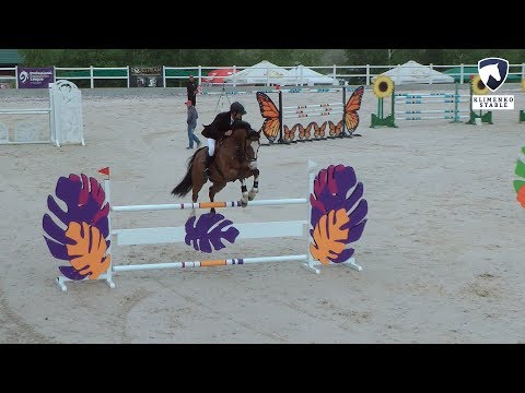 Видео: 11.05.2019 г. Маршрут № 5а. 130 см. Открытый класс. Лошади 7-ми лет и старше.