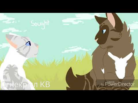 Видео: {Коты-Воители}||▪□Искра и Коршун□▪||[Она опасна]||~Заказ~
