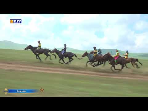 Видео: Наадам 2023 "Хязаалан"