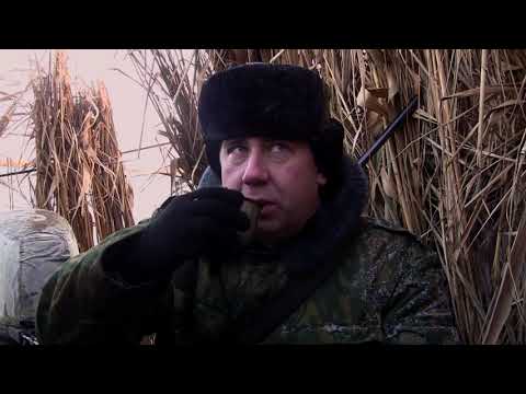 Видео: Настоящая русская охота. Пять зорь на Маныче