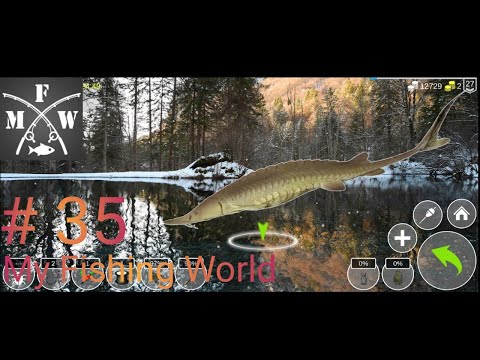 Видео: My Fishing World #35 // Река Клаус // Обыкновенный Лопатонос...