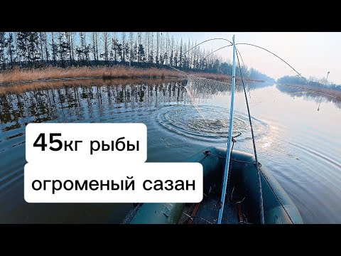 Видео: Нашёл новое место и довай тягать огромных рыб на паук подъёмник.#рыбалка #fishing #рыбалканаозере#낚시