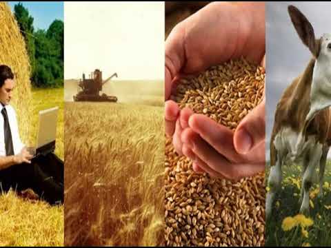 Видео: 4 сынып Менің өлкемнің ауылшаруашылығы
