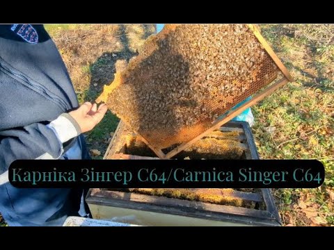 Видео: #2  Карніка Зінгер С64/Carnica Singer C64
