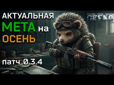 Видео: EFT: ARENA | Актуальная МЕТА осени | С чем играть патч 0.3.4 | Советы по сборке