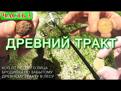 Видео: ДРЕВНИЙ ТРАКТ ЗАБРОШЕННАЯ ДОРОГА В ЛЕСУ ЧТО НАШЁЛ НА ВЫБИТОМ МЕСТЕ?  ЧАСТЬ 3