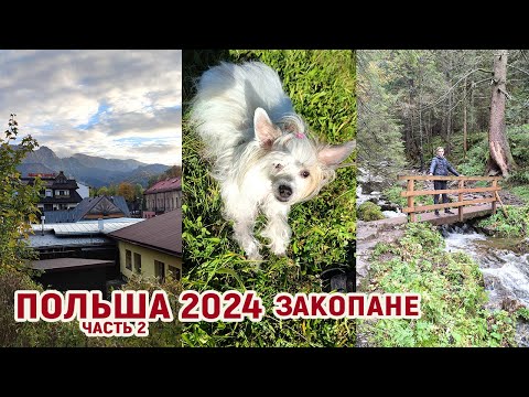 Видео: Собачка Ева в Польше - Закопане- Октябрь 2024 - часть 2