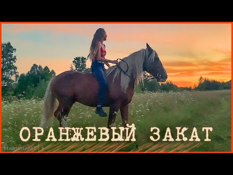 Видео: Andy Panda - Оранжевый закат (конная версия клипа)