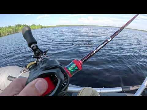 Видео: Первая , результативная рыбалка , два комплекта , спиннинг , кастинг , суббота 15 июня 2024 года