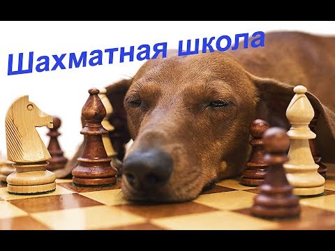 Видео: Урок 3. Пешечные слабости