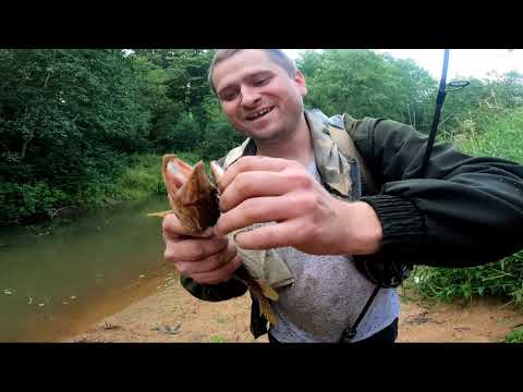 Видео: Рыбалка на спиннинг на речке Ящера #2