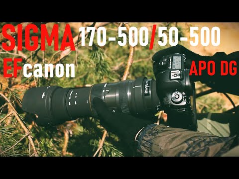 Видео: телеобъективы SIGMA 170-500mm / SIGMA 50-500mm