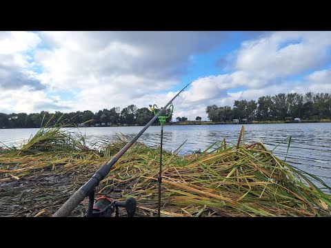 Видео: Фідер восени на річці Дністер. Лящ, карась, раки. Фішки при ловлі на фідер. Осінній фідер 2024