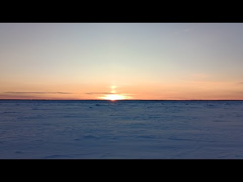 Видео: Серия √37 ловля налима на перемёт.