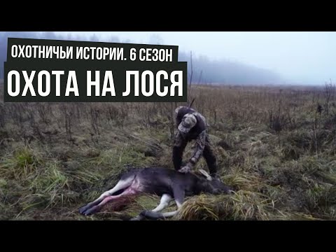 Видео: Охота в Тверской области НА ЛОСЯ I Охотничьи истории \ #5