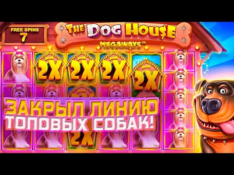 Видео: ЗАКРЫЛ ПОЛЯНУ СОБАК В ТОПОВОЙ БОНУСКЕ / ЗАНОС В THE DOG HOUSE MEGAWAYS ПО ????