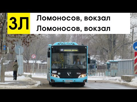 Видео: Автобус 3Л "Ломоносов, вокзал - Ломоносов, вокзал" (кольцевой)