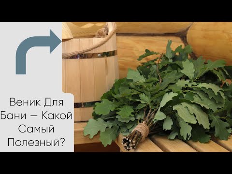 Видео: Как выбрать веник для бани: рейтинг лучших 🌿