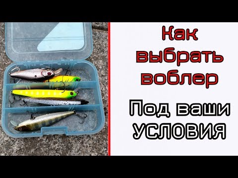 Видео: Как выбрать воблер и как его провести.