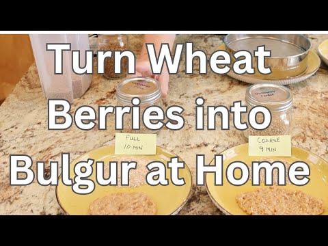 Видео: Превратите пшеничные зерна в булгур дома