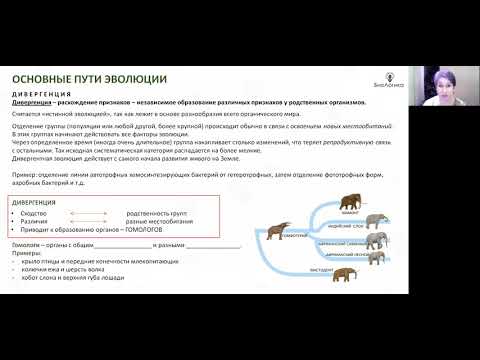 Видео: Лекция 33  Макроэволюция растений
