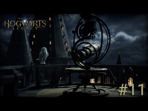 Видео: Продолжаем волонтерскую деятельность | Hogwarts Legacy #11